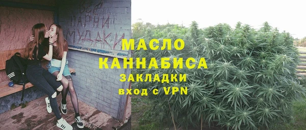 дживик Пестово