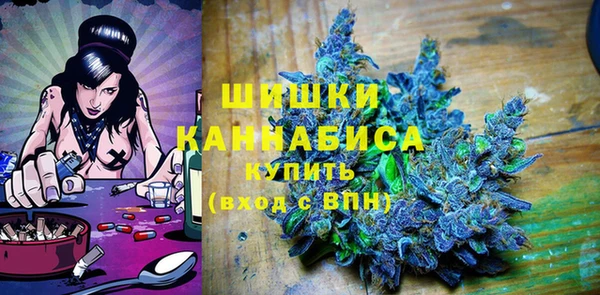 МДПВ Новокубанск